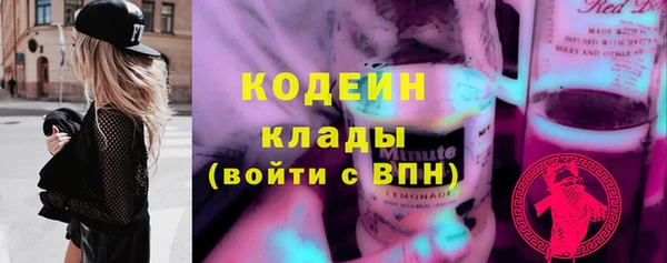 индика Семёнов