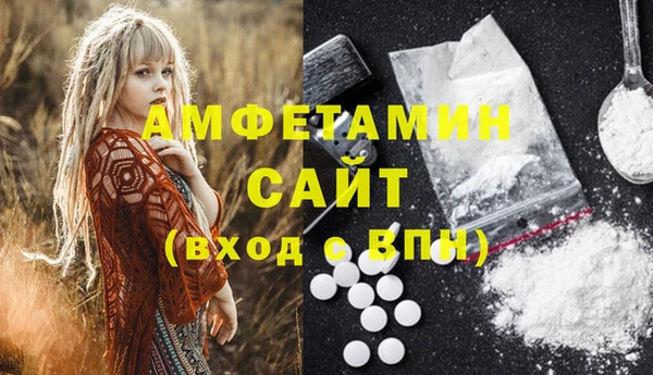 мдпв Семилуки