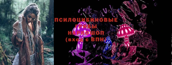 индика Семёнов