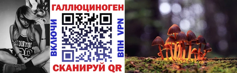 Галлюциногенные грибы мицелий  купить наркоту  Шадринск 